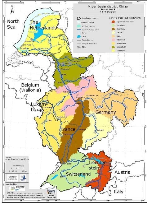 RHEIN Definition & Usage Examples .